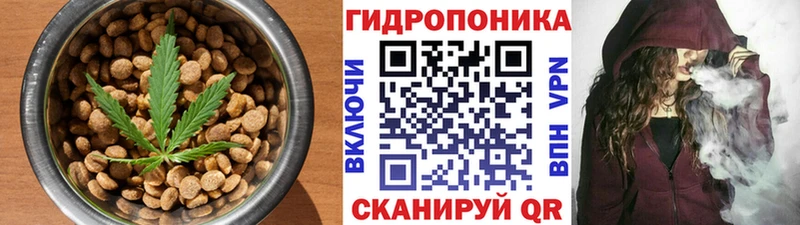 OMG ТОР  Звенигово  Cannafood марихуана 