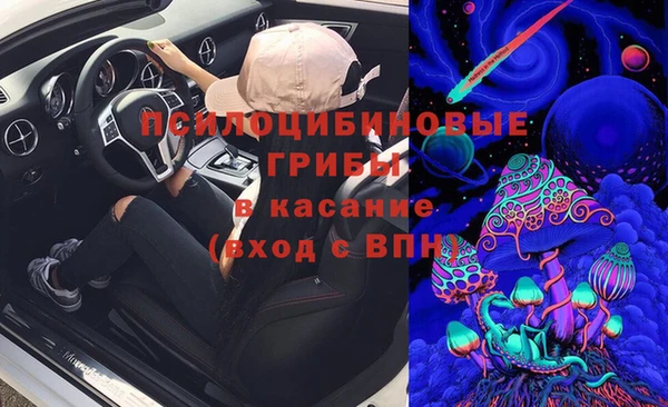 альфа пвп Алексеевка