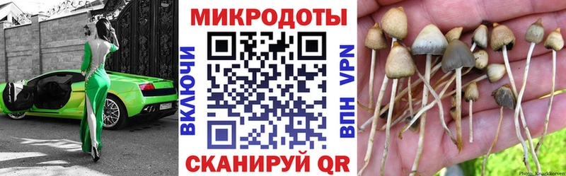 где купить   Звенигово  Псилоцибиновые грибы Magic Shrooms 